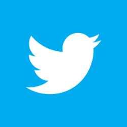 Twitter Statistics and Facts 2022