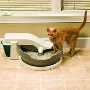 PetSafe Continuous Cleaning Automatic Litter Box