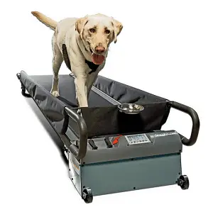 PetZen Doggie Treadmill