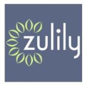 Zulily Statistics User Counts Facts News