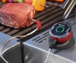 BBQ Grill Accessories and Gadgets iGrill Mini