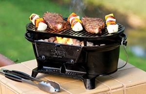 30+ Awesome BBQ Grill Accessories and Gadgets