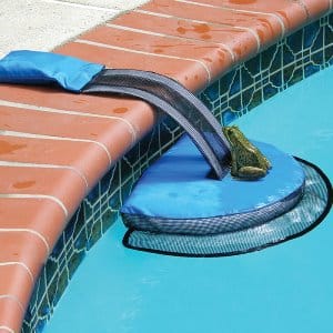 Pool Critter Escape Ramp