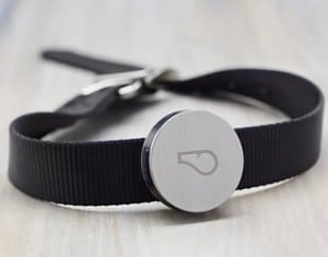 Whistle Activity Monitor For Dogs