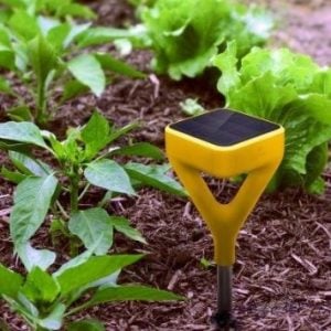 garden tools Edyn Smart Garden Sensor and App System garden gadget