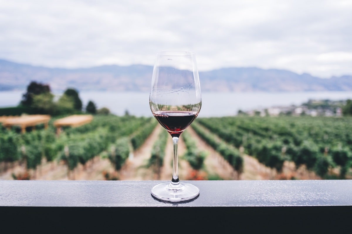 wine facts and statistics 2023