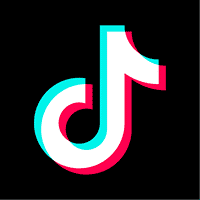 tiktok statistics user count and facts 2022