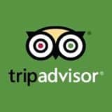 tripadvisor statistics user count facts 2022