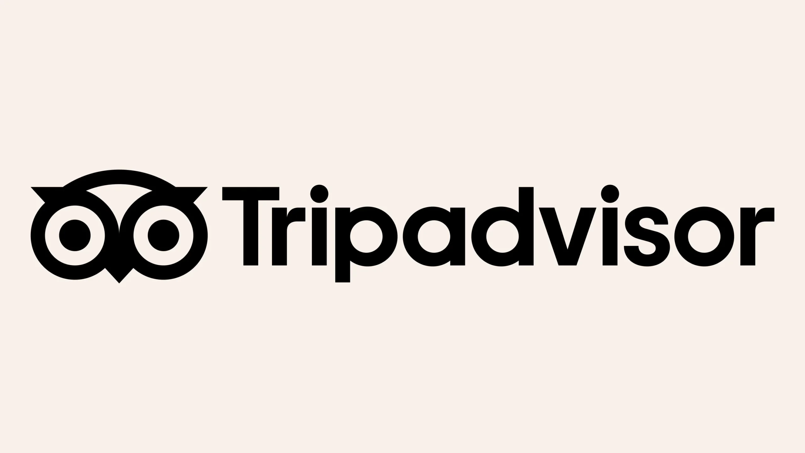 tripadvisor statistics user count facts 2026