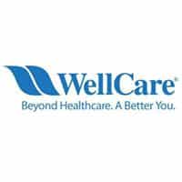 WellCare Statistics revenue totals and Facts 2022