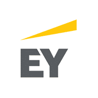 EY Statistics revenue totals and Facts 2022