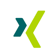 Xing Statistics 2023 and Xing user count