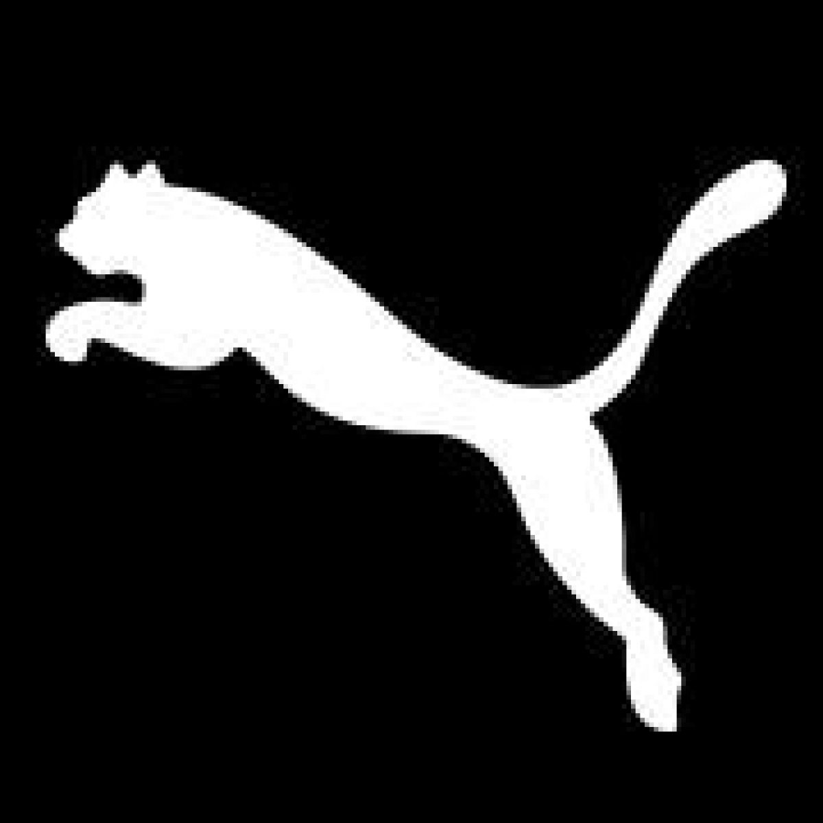 facts about puma brand