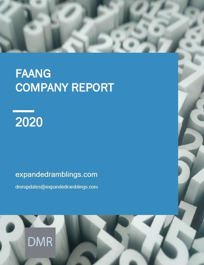 FAANG Company Report 2020 Cover
