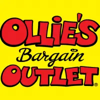 Ollies Bargain Outlet Statistics store count revenue totals and Facts 2022