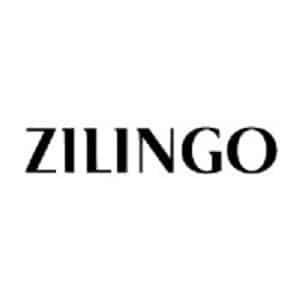 Zilingo Statistics user count and Facts 2023