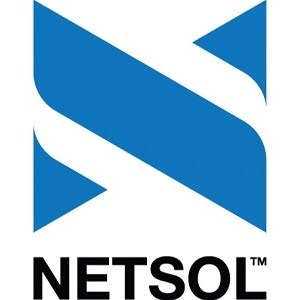 Netsol Statistics, Revenue Totals and Facts 2022