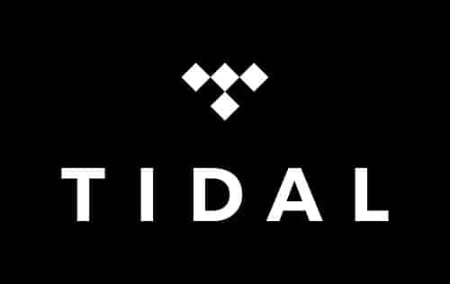 tidal statistics user count facts 2023