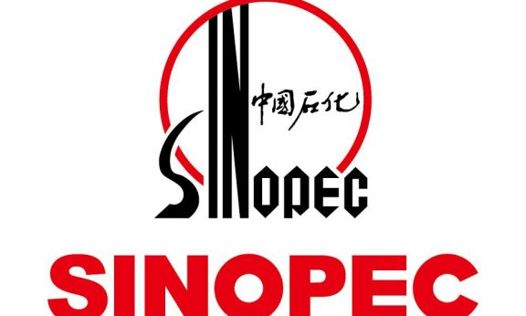 Sinopec Statistics revenue total and Facts 2023