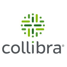 Collibra Statistics user count and Facts 2022