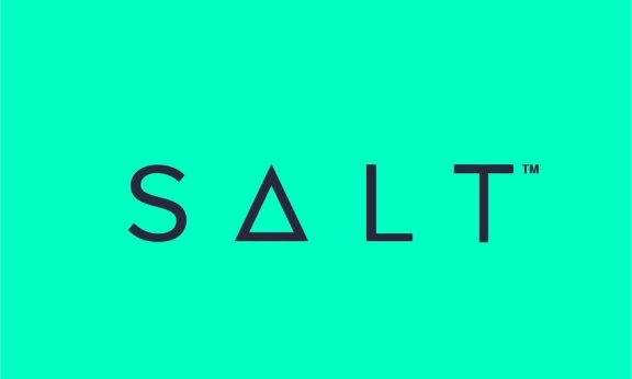 SALT Lending Statistics user count and Facts 2022