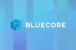 Bluecore Statistics user count and Facts
