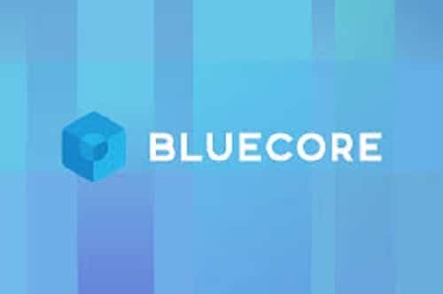 Bluecore Statistics user count and Facts