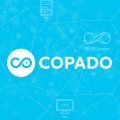 Copado Statistics user count and Facts