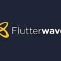 Flutterwave Statistics user count and Facts