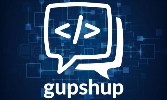 Gupshup Statistics user count and Facts