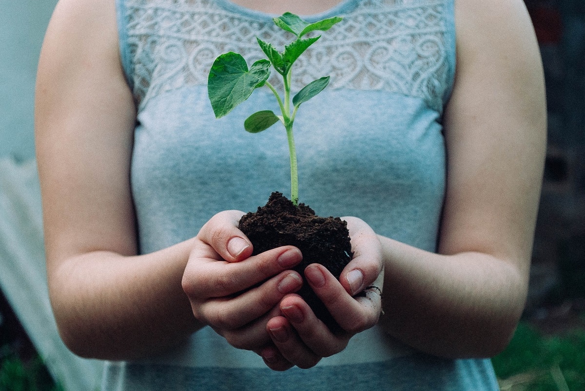 Fun Facts About Earth Day Statistics 2023