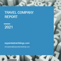 travel industry report  2022