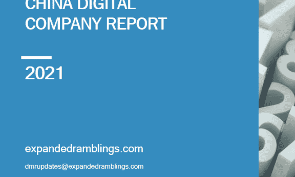 china digital company report  2022