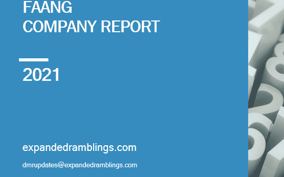 faang industry report  2022