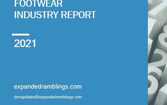 footwear industry report  2022