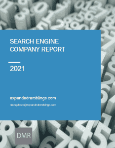 search engine company report 2021
